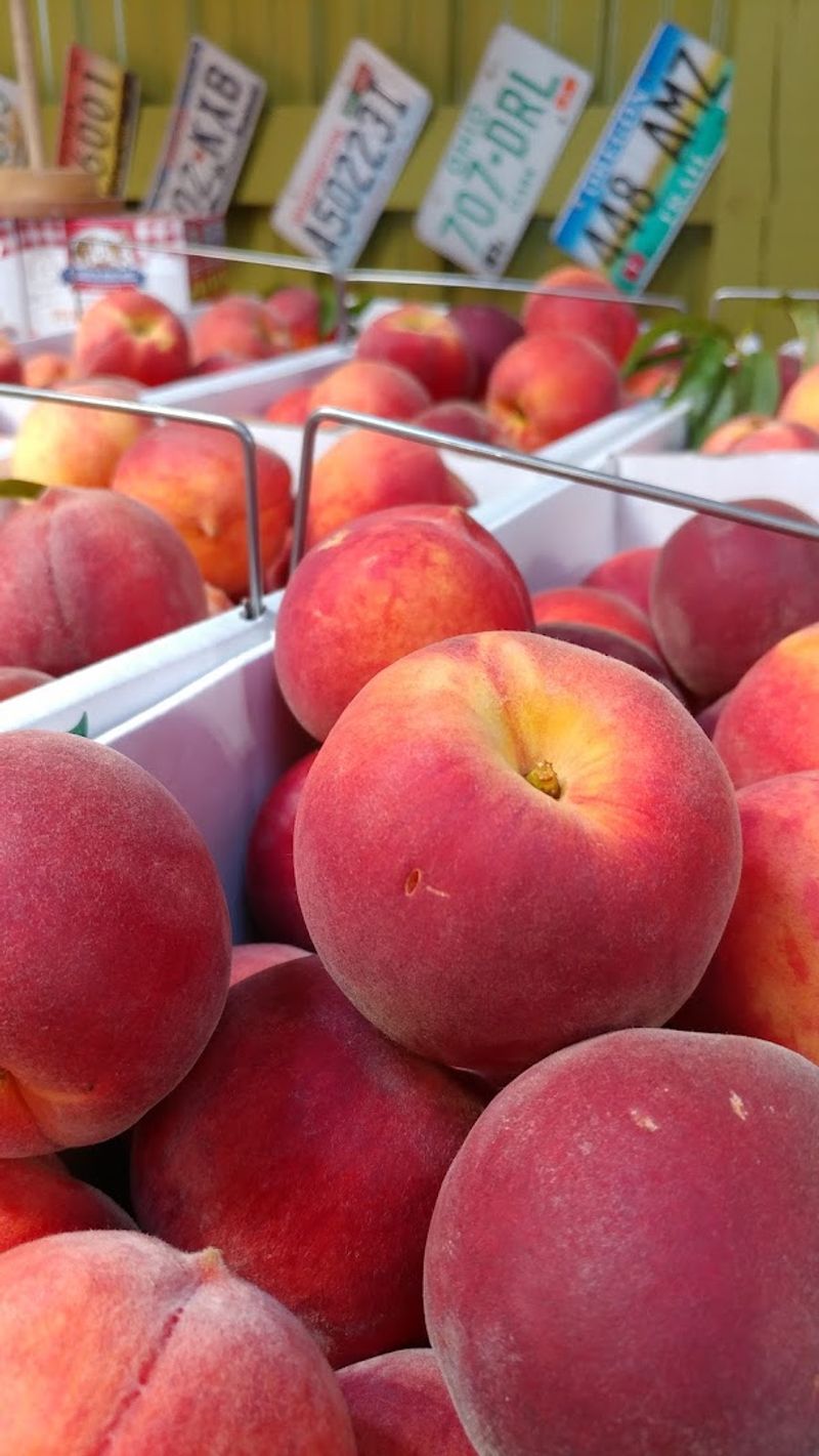 August Peach Season Comes With A 2026 Curveball