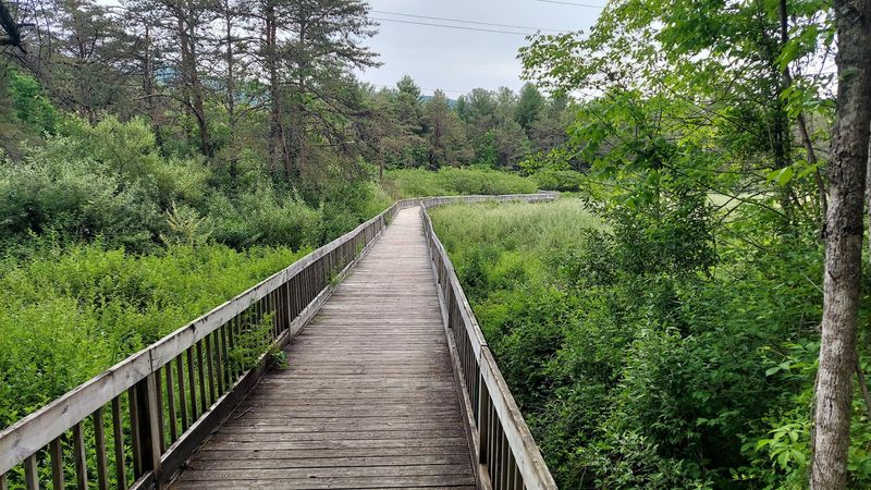 Augusta Springs Wetlands Park