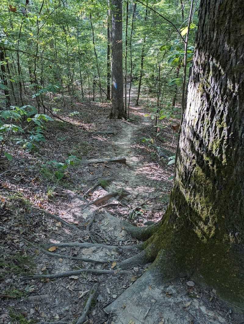 Austell Trail, Wynne Austell Trail, Wynne