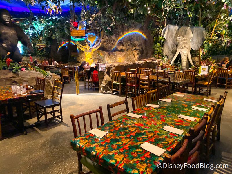 Rainforest Café: Thunderstorms With Your Thunder Tea