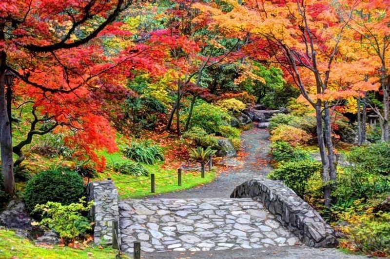 Autumn Color That Sets the Park Aglow