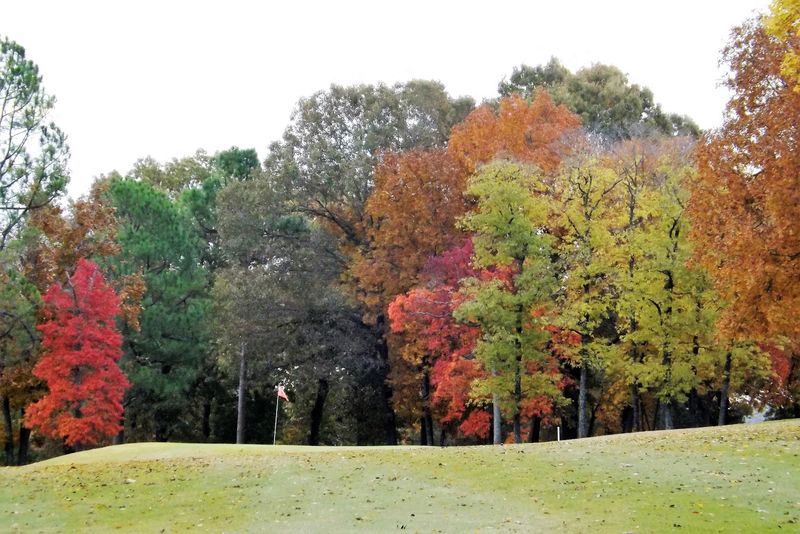 Autumn Color Transforms The Fairways