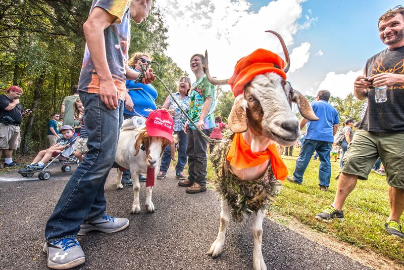 Autumn Crowds Bring The Park To Life