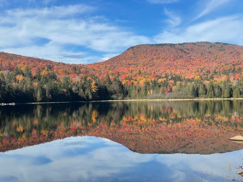 Autumn Goes All In