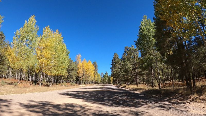 Autumn Gold and Winter Snow Closures