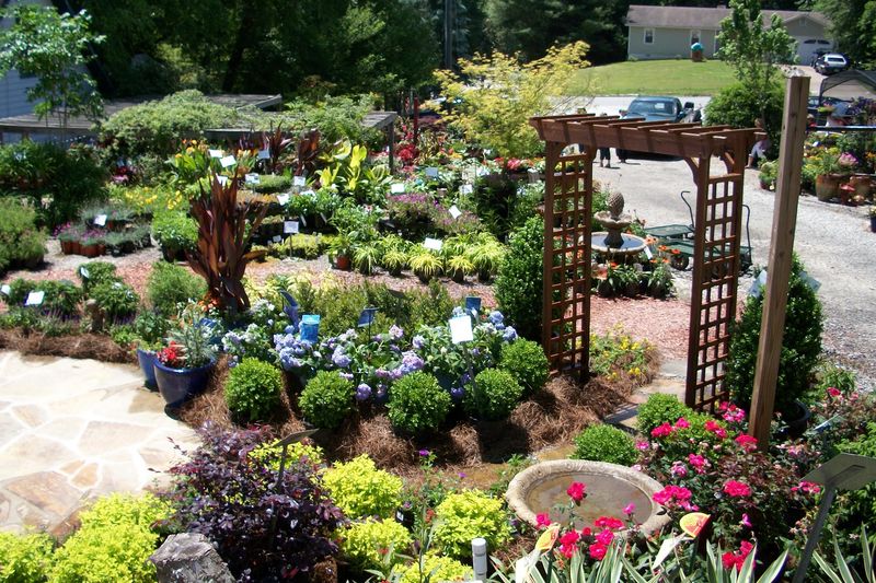 Autumn Hill Nursery Inc