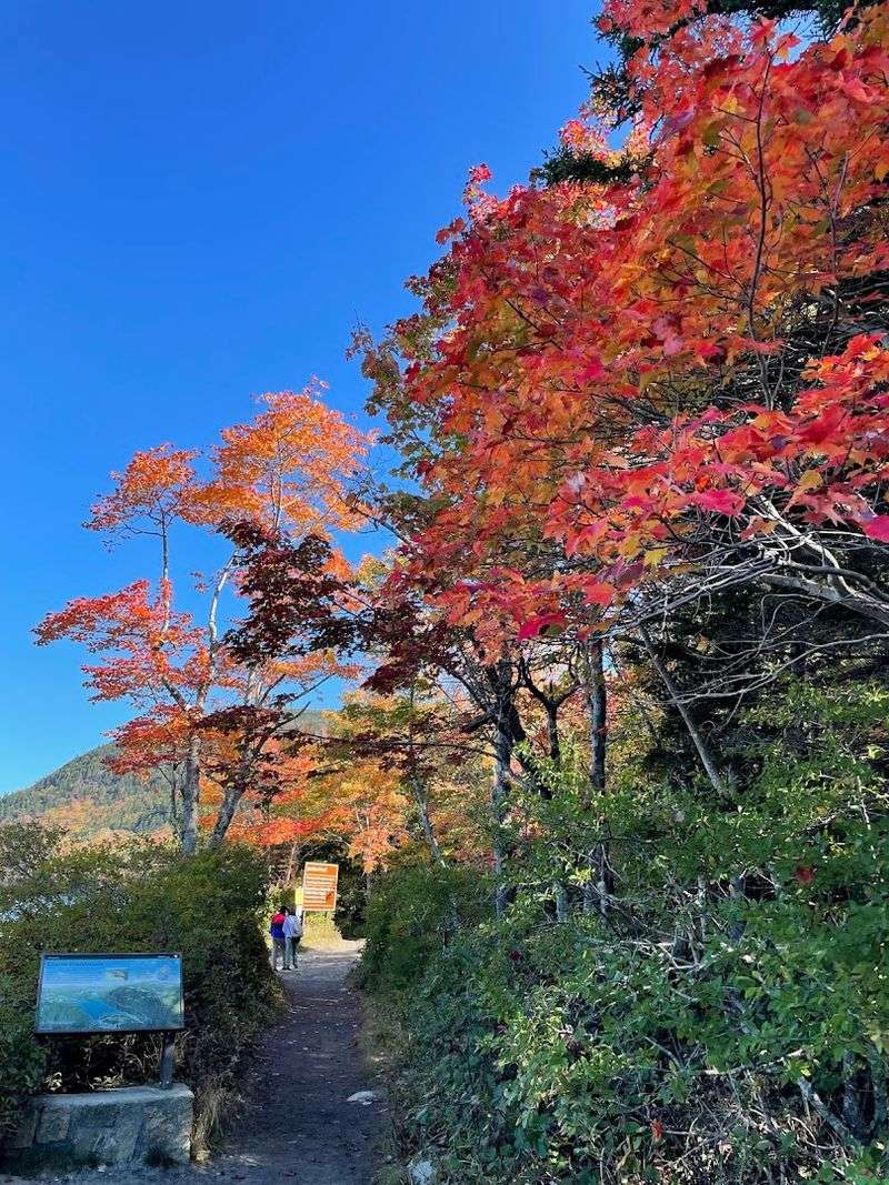Autumn Makes It Glow Autumn Makes It Glow