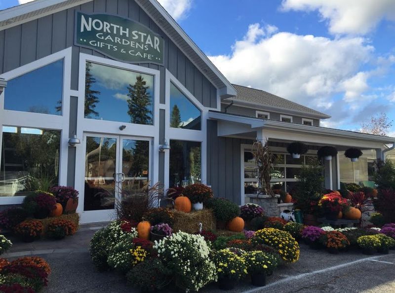 Practical, Kind, Walkable: Everyday Essentials