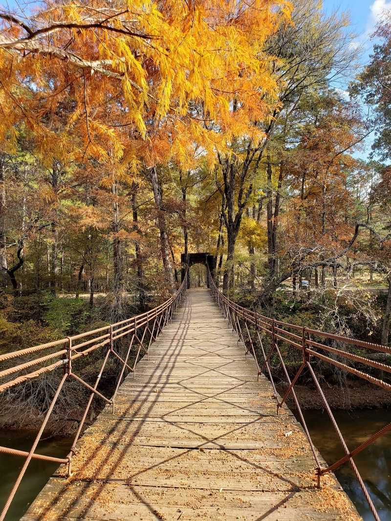 Autumn Throws Its Most Colorful Party Here