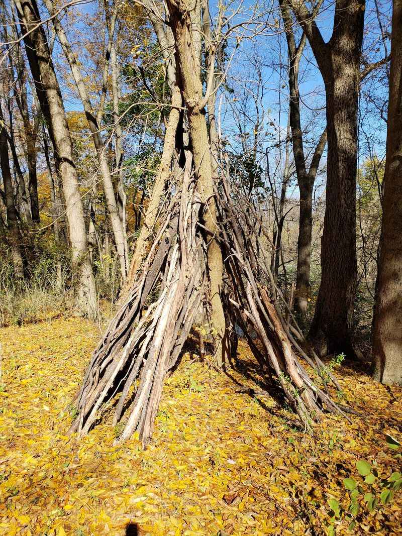 Autumn Turns The Whole Place Golden Autumn Turns The Whole Place Golden