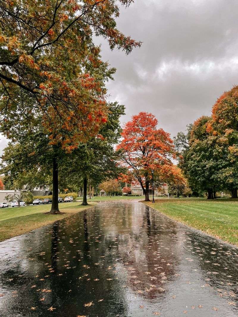Autumn Weather Gets The Final Say