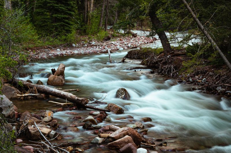 Avalanche Campground - South of Carbondale