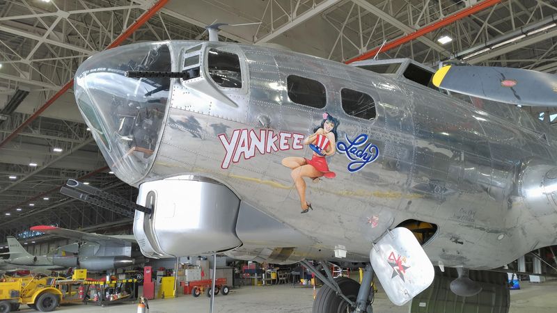 Look For Yankee Lady First