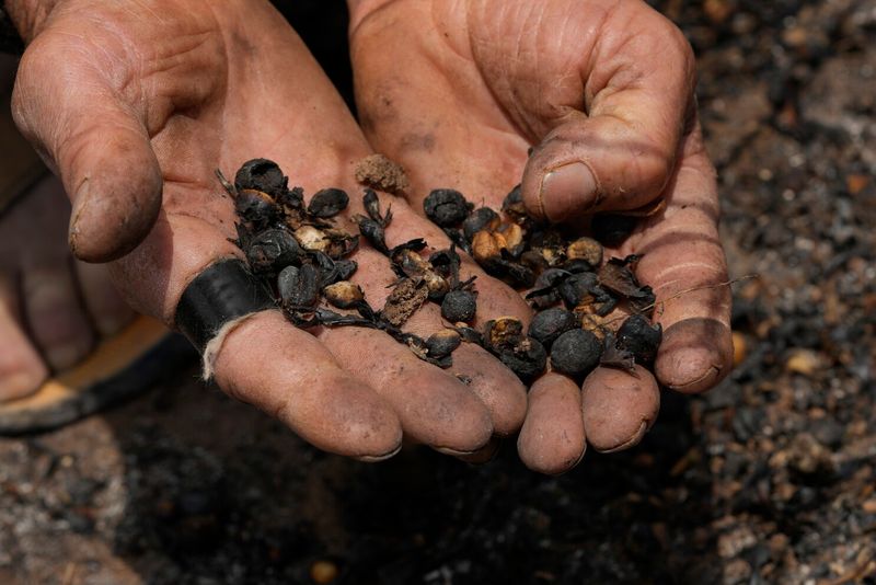 Coffee Beans Running Dry