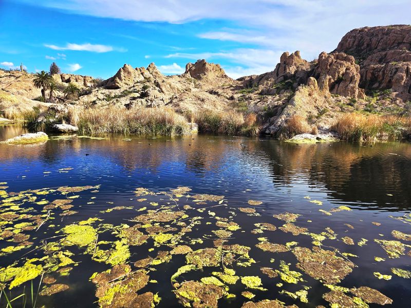 Ayer Lake Rewards The Sunny North Side