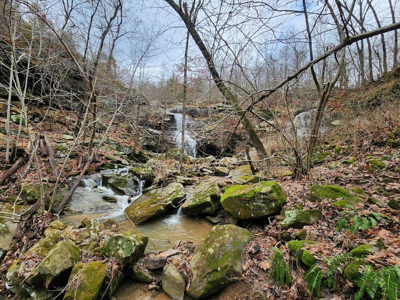 Azalea Falls Lodge, Kingston