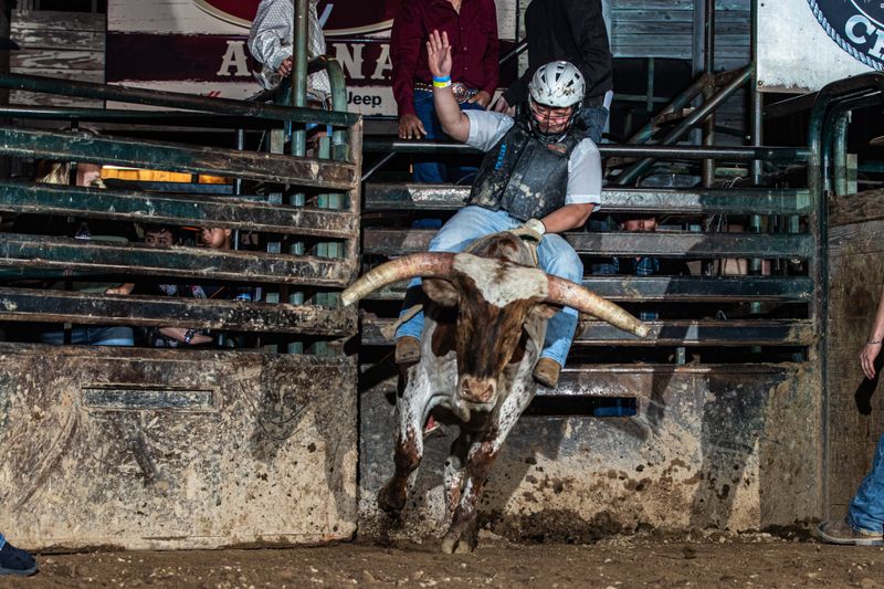 Live Bull Riding That Gets Your Heart Pumping