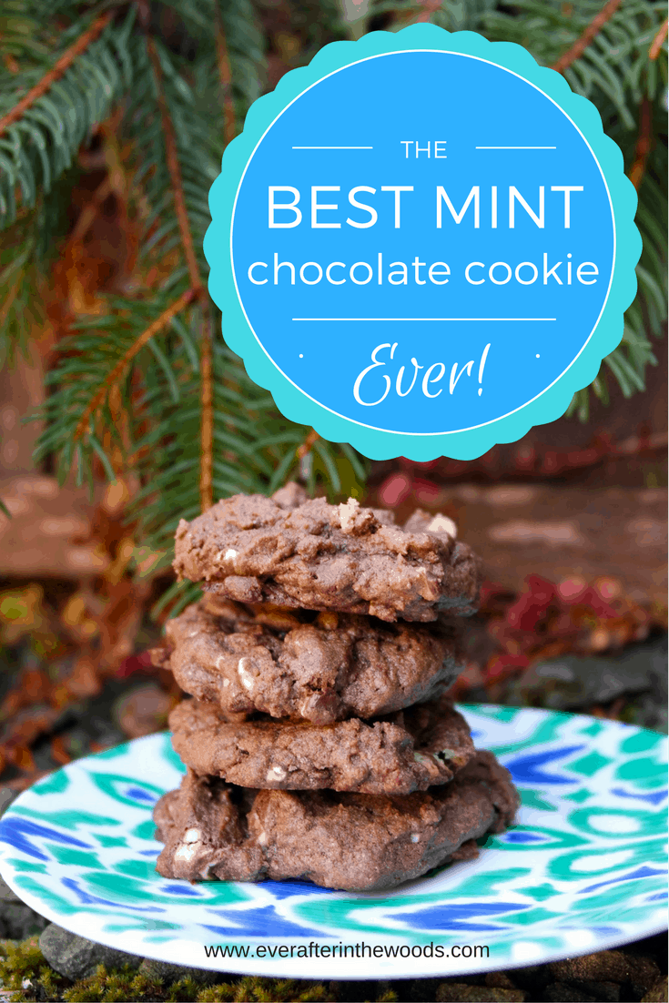 soft and chewy minty chocolate cookie different recipe