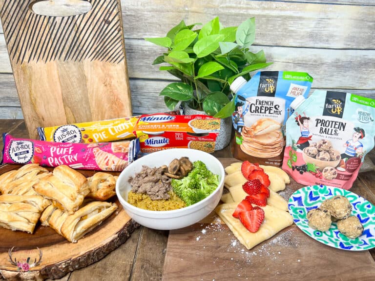 Back to School Meals & Snack Ideas