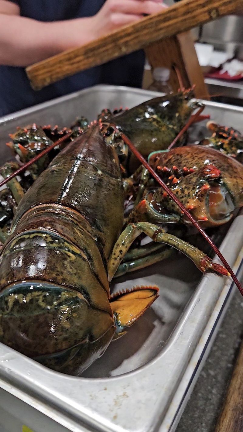 Fresh Catches That Go From Ocean To Plate In Record Time