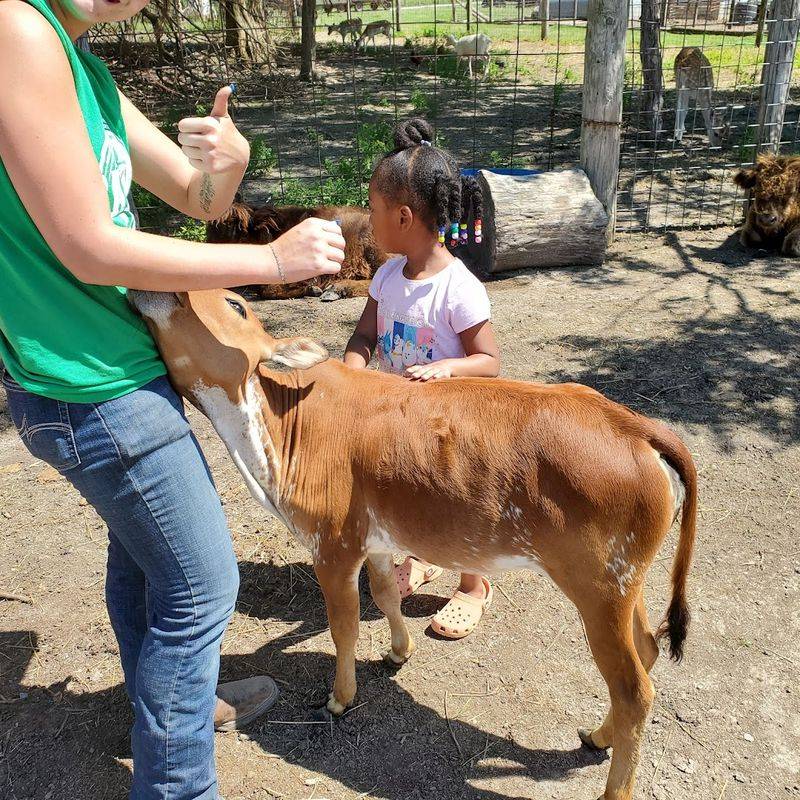 Hands-On Encounters You Won’t Forget