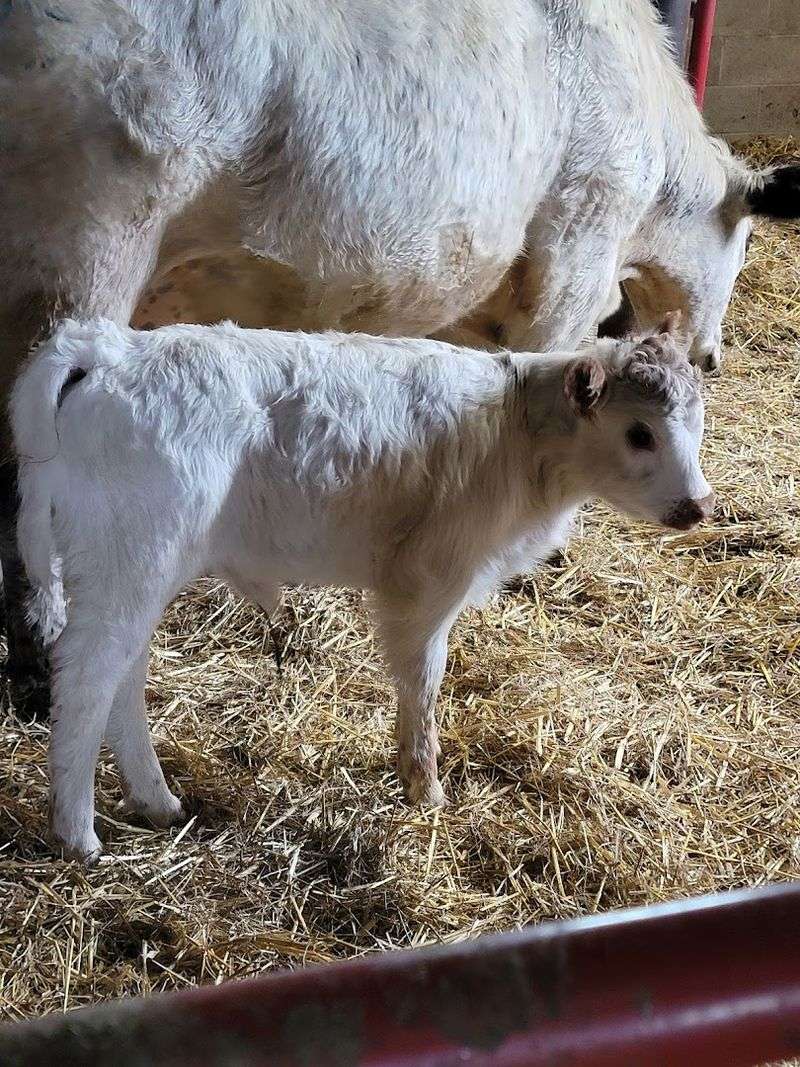 Baby Animals That Will Absolutely Melt Your Heart