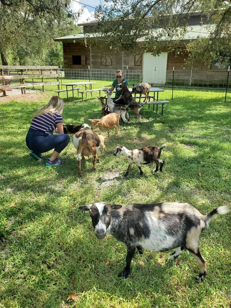 Practical Tips To Make Your Visit Smooth and Enjoyable