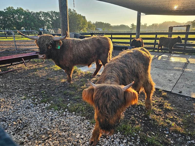 Fall Is The Perfect Season To Visit