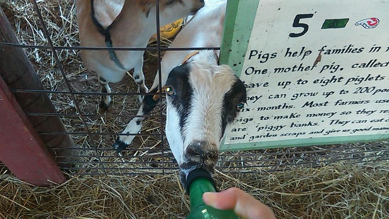 Interactive Opportunities For Families And Groups