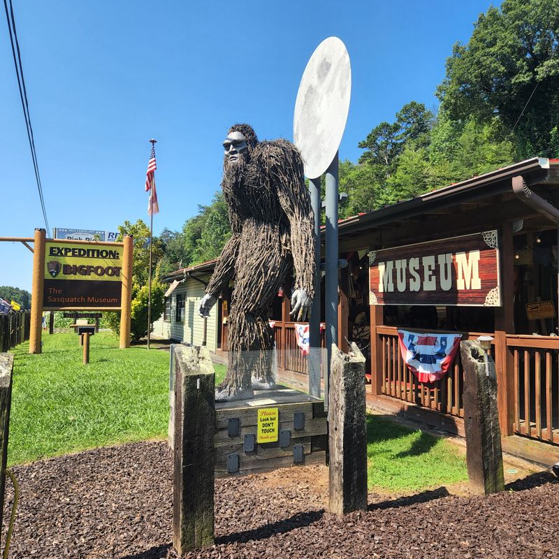 Expedition: Bigfoot! The Sasquatch Museum – Cherry Log (Hwy 515)