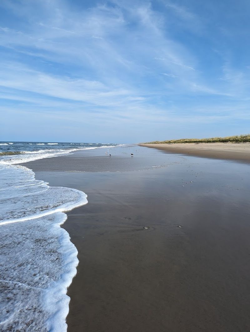 Back Bay National Wildlife Refuge Trails