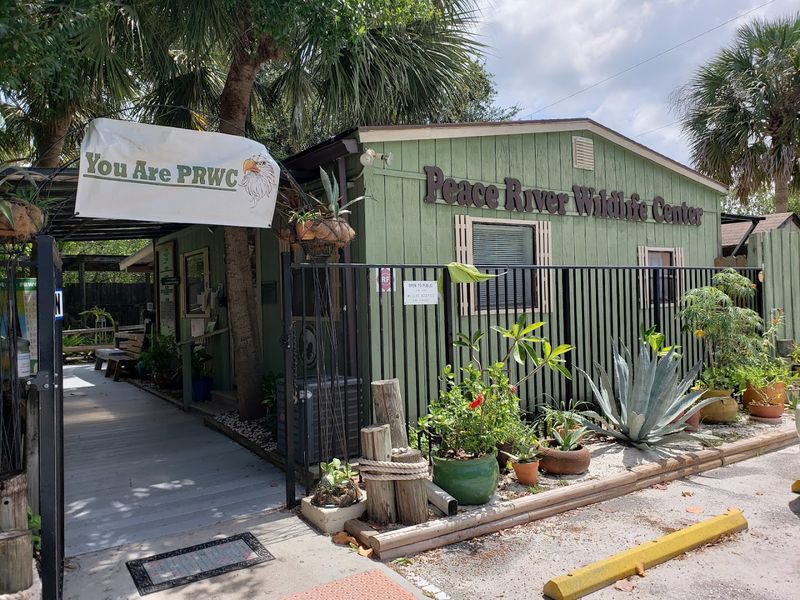 Peace River Wildlife Center