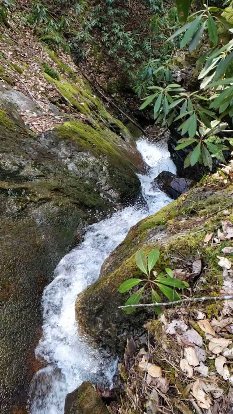 Backbone Falls Backbone Falls