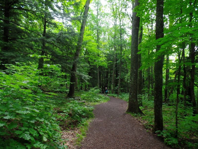 North Country Trail Rhythm