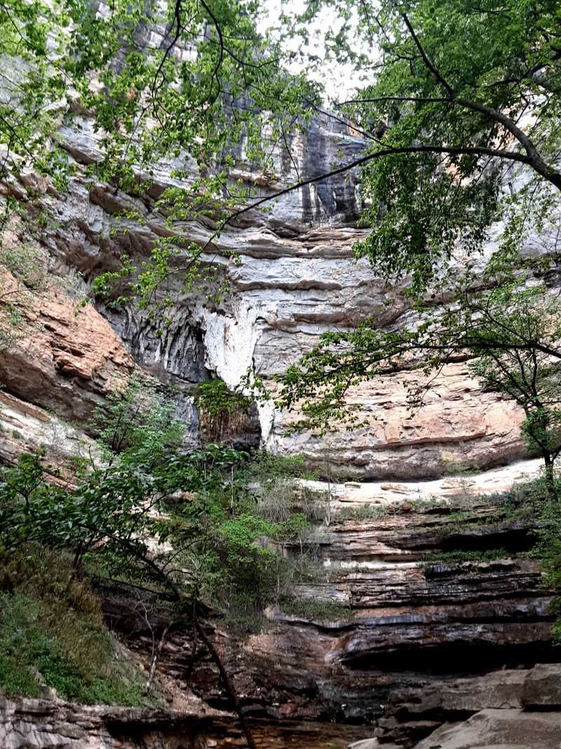 Wildlife Species Found In The Area