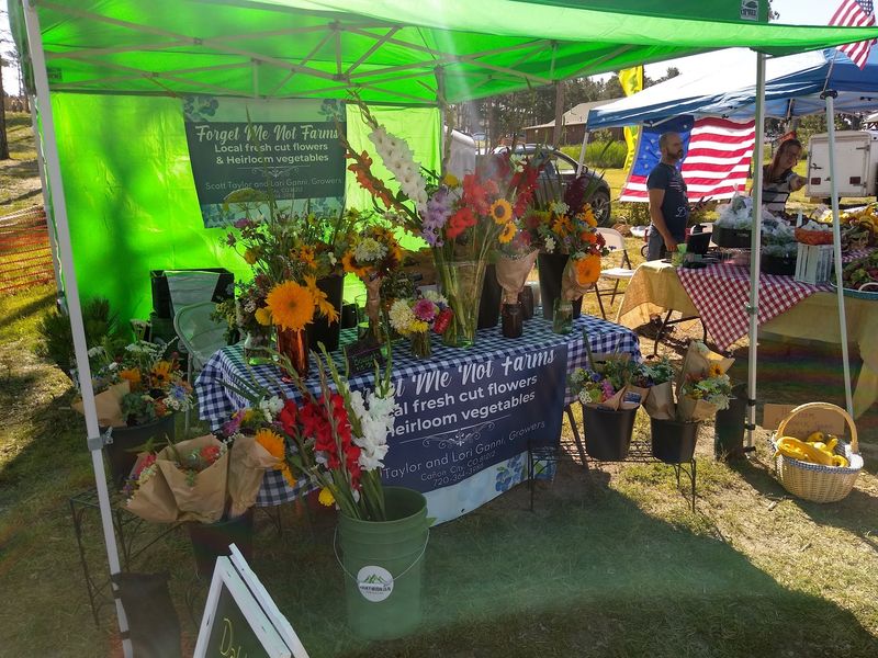 Backyard Market, Black Forest