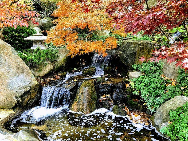 Anderson Japanese Gardens, Rockford