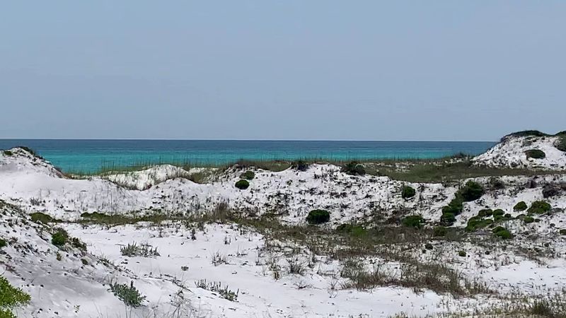 Topsail Hill Preserve State Park Campground, Santa Rosa Beach