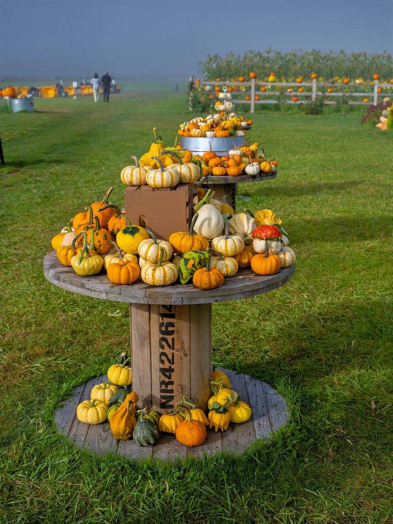 Bailey Farm, Snohomish, WA Bailey Farm, Snohomish, WA