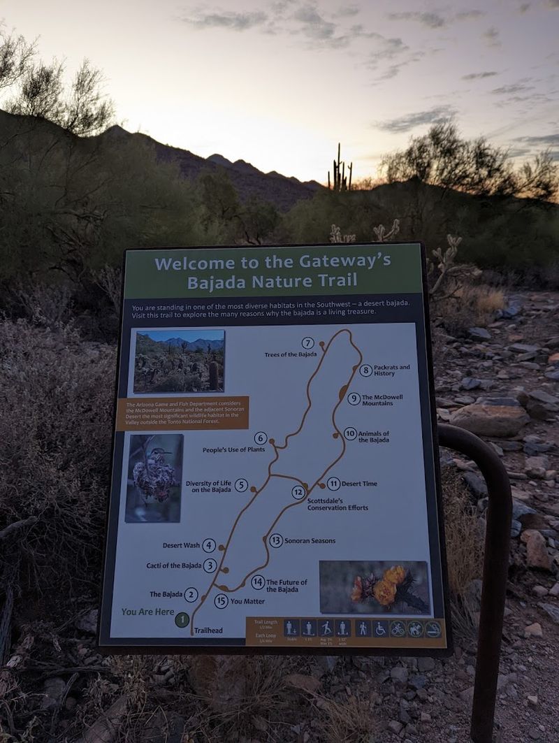 Bajada Nature Trail, McDowell Sonoran Preserve, Scottsdale Bajada Nature Trail, McDowell Sonoran Preserve, Scottsdale