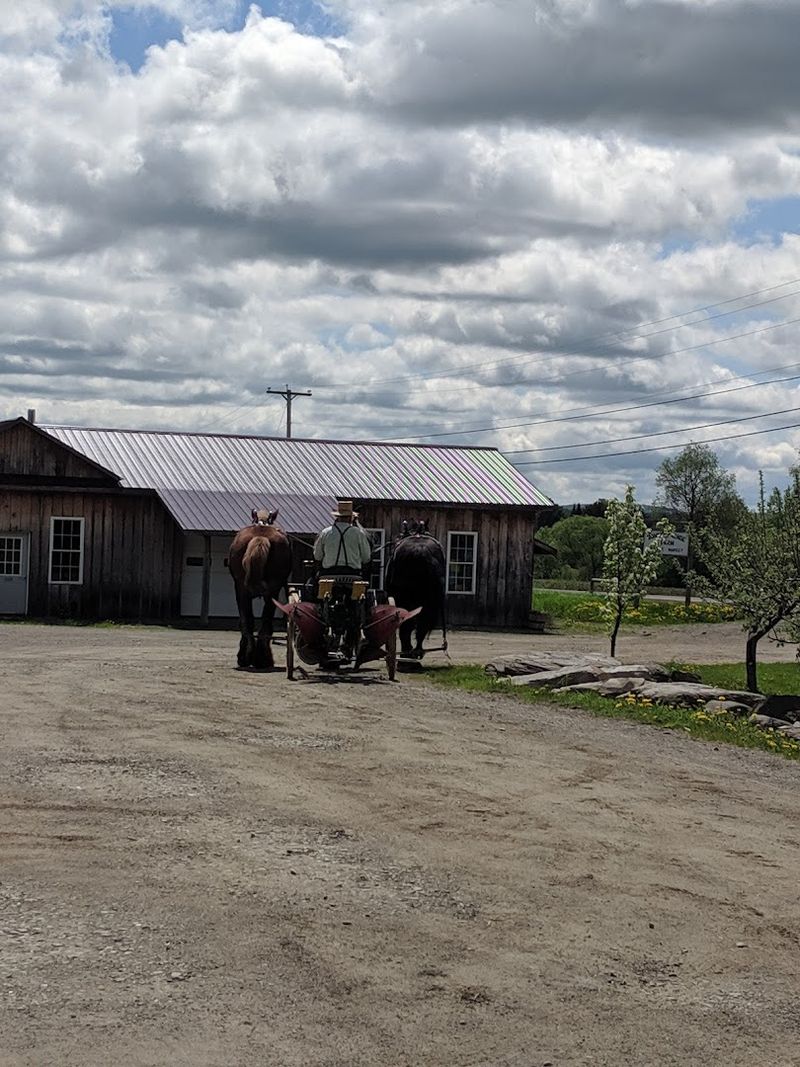 The Cash-Only Policy 