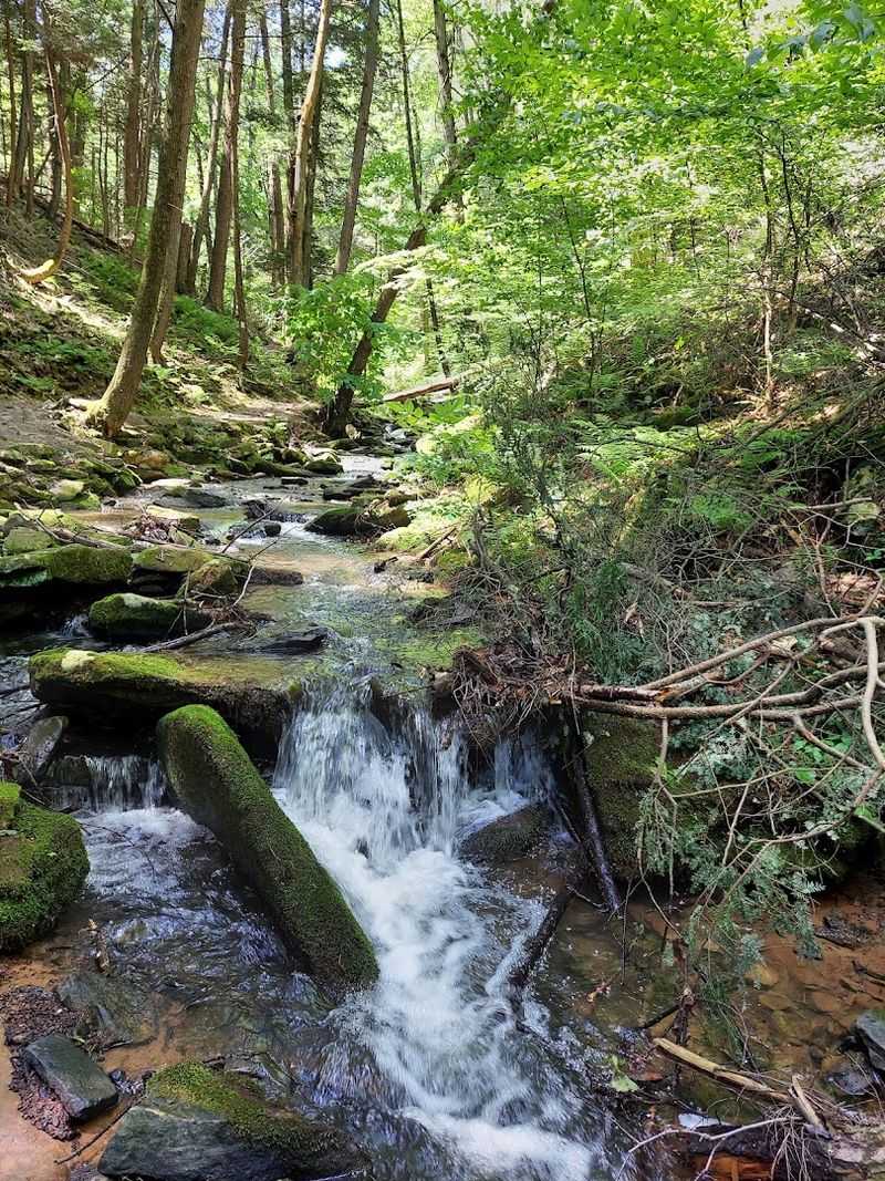 Brumbaugh Trail, Trough Creek State Park, Huntingdon, Pennsylvania