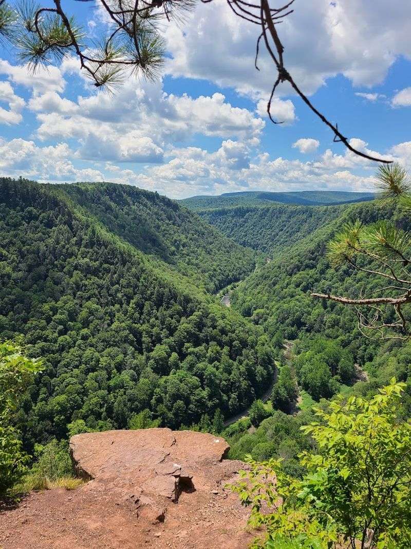 Barbour Rock Trail, Tioga State Forest, Pennsylvania