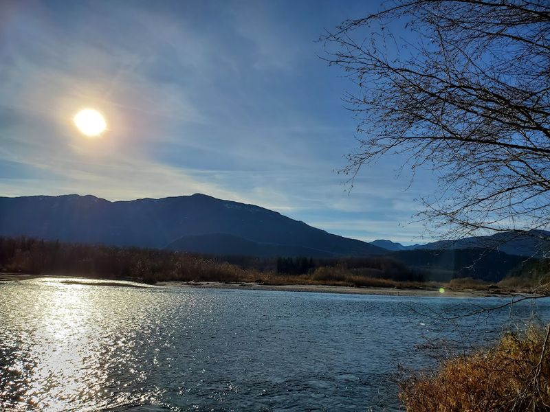 Bald Eagle Viewing Along The Skagit River Bald Eagle Viewing Along The Skagit River