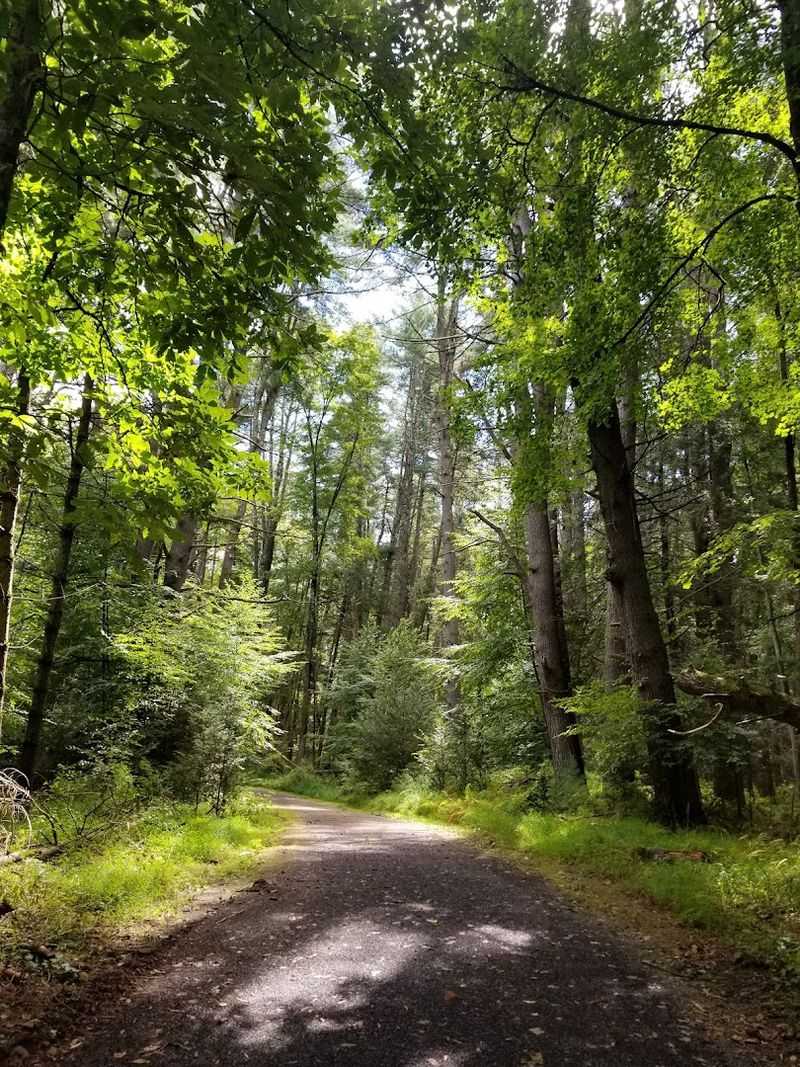 Camping Here Feels Like A True Escape