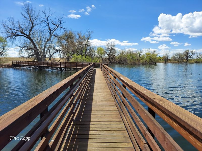 Nine Miles of Flat Trail Around the Lake