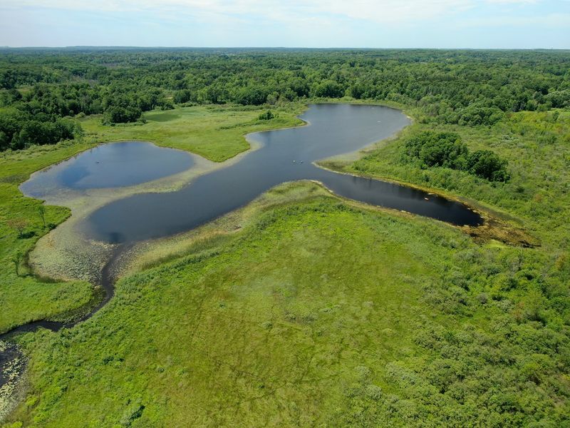 Bald Mountain Recreation Area