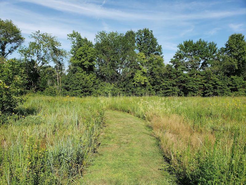 Ballard Nature Center, Altamont Ballard Nature Center, Altamont