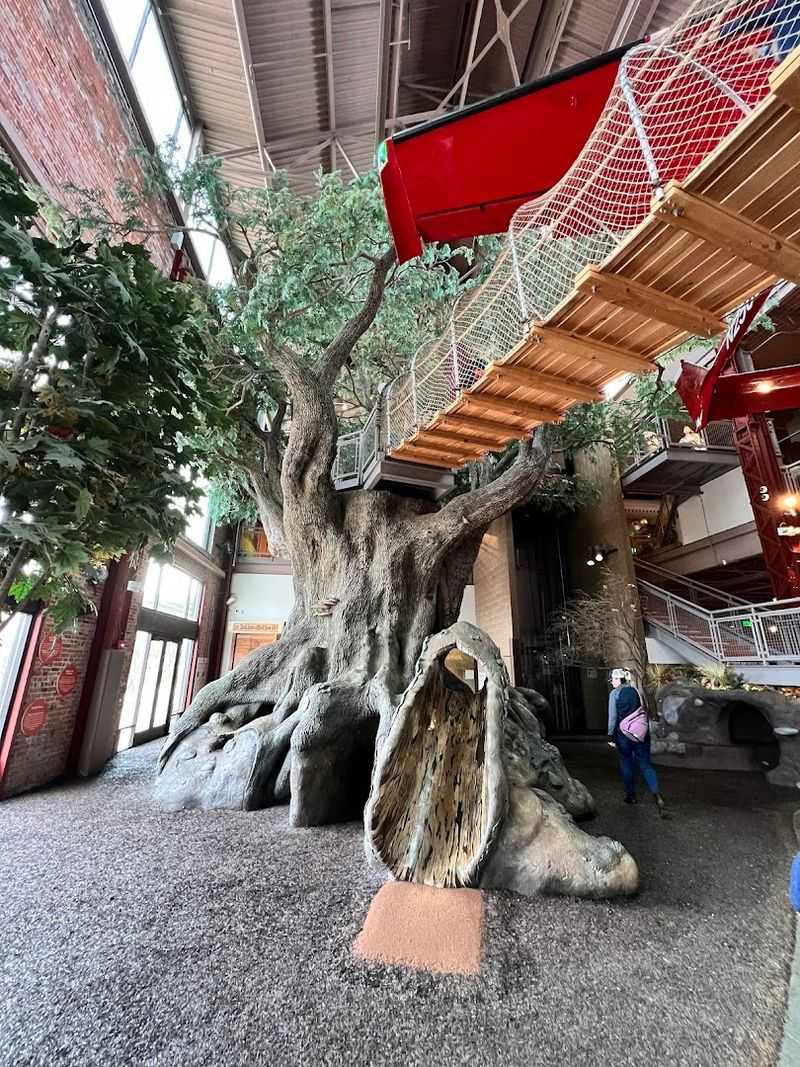 Outdoor Adventure Center, Detroit