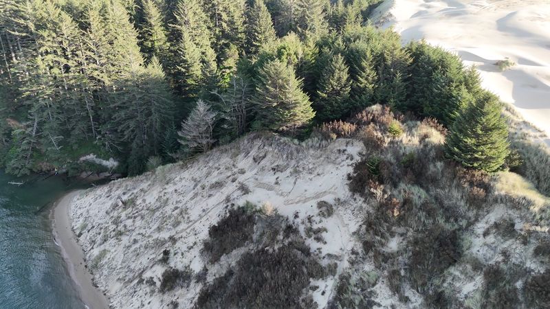 Florence (Dunes and Old Town Hub)